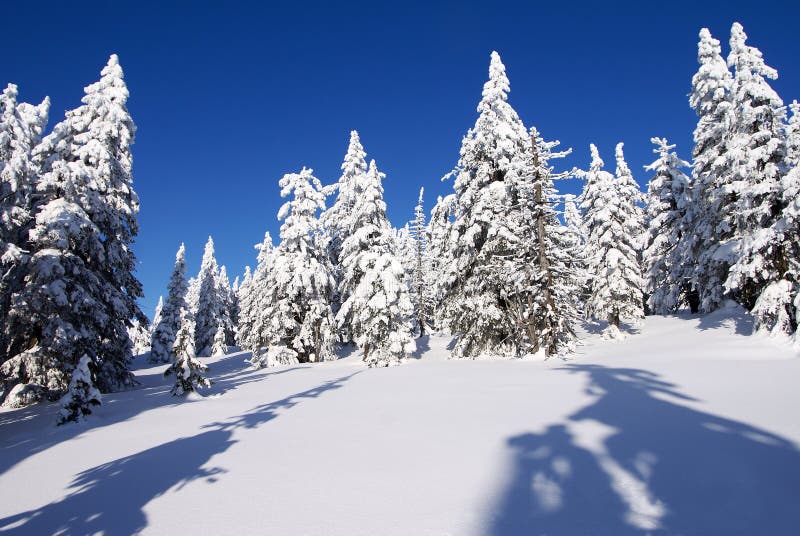 Wintry landscape scenery