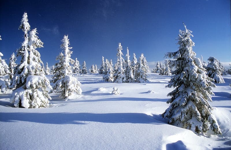 Wintry landscape scenery