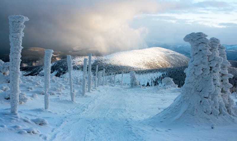 Wintry ski trail on Jeseniky mountain - Czech Republic