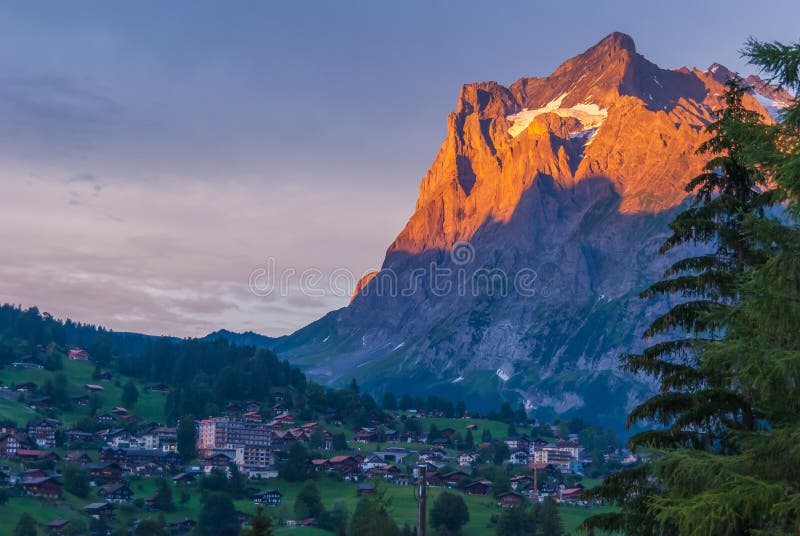 Wioska Grindelwald pod Wetterhorn szczytem podczas zmierzchu, Berner Oberland, Szwajcarscy alps, Szwajcaria fotografia stock Wioska Grindelwald pod Wetterhorn szczytem podczas zmierzchu, Berner Oberland, Szwajcarscy alps, Szwajcaria fotografia stock
