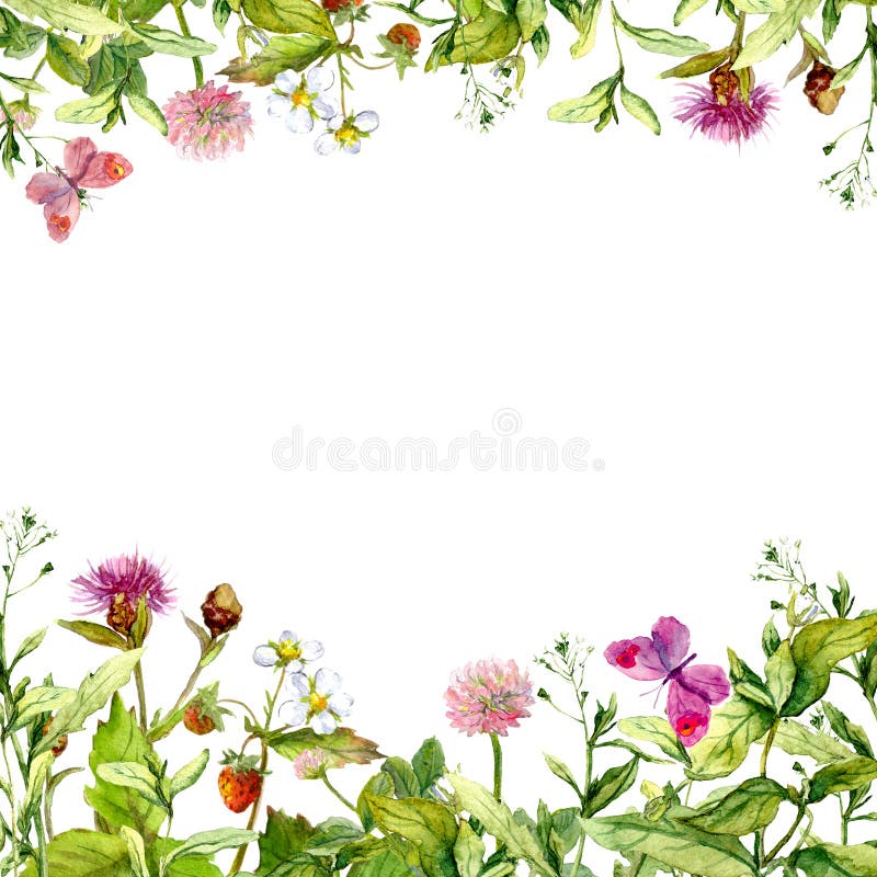 Wiosna, lato ogród: kwiaty, trawa, ziele, motyle motyla opadowy kwiecisty kwiatów serca wzoru kolor żółty akwarela