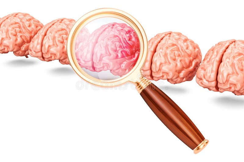 Wiosłuje od ludzkich mózg z magnifier, 3D rendering royalty ilustracja Wiosłuje od ludzkich mózg z magnifier, 3D rendering royalty ilustracja