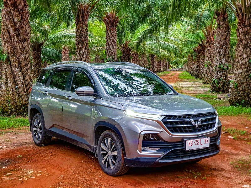 Wir nennen Wullen in Indonesien... eines intelligenten Autos in Indonesien stockbild