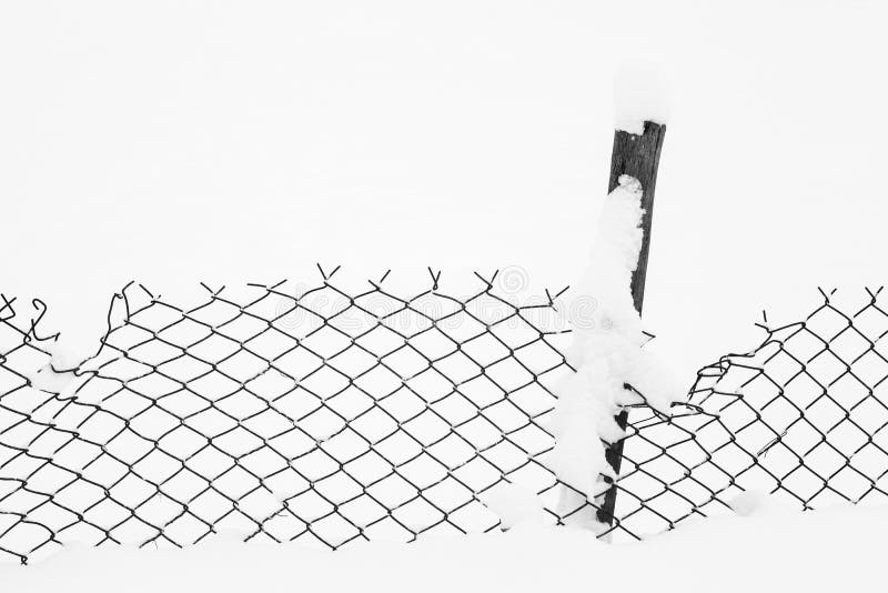 Wire fence in the snow - black and white picture