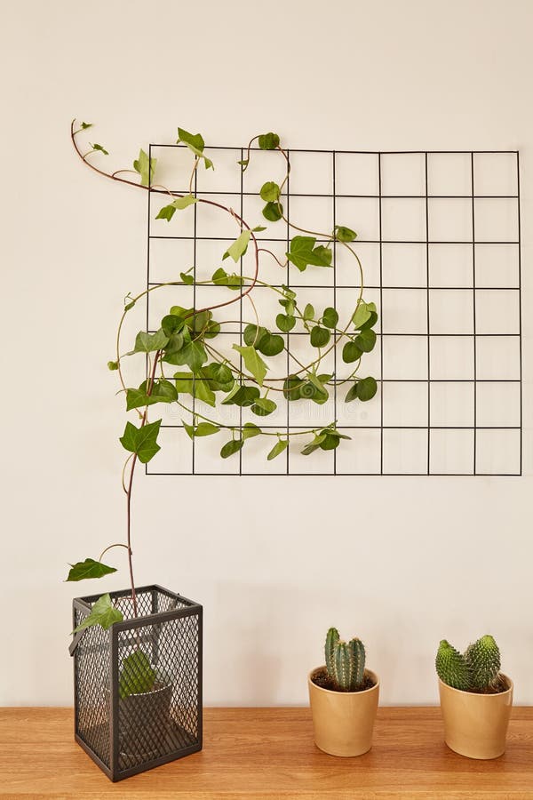 Wire Grid Panel with Potted Plants Stock Photo Image of office
