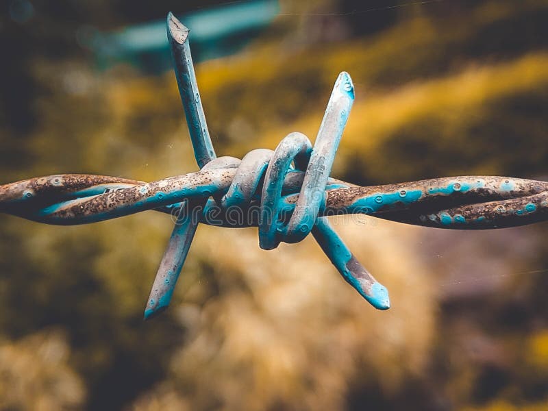 Wire knot stock photo. Image of circle, knot, power, wire 16725664