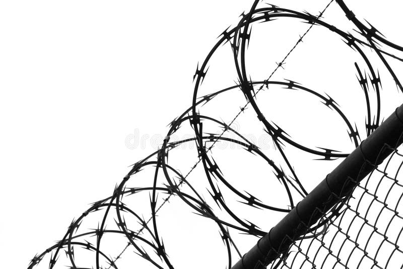 Wired fence with barbed wires close-up