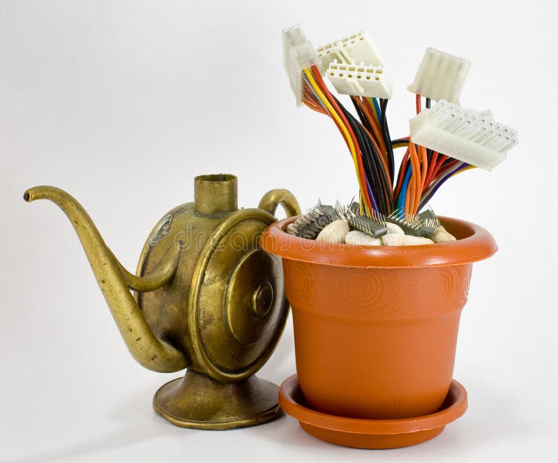 Wired flower pot with old oil can