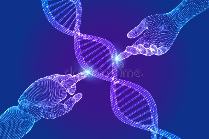 Wireframe DNA Sequence Molecules Structure Mesh. Hands of Robot and Human  Touching on DNA Connecting in Virtual Interface on Stock Illustration -  Illustration of connection, human: 194473317