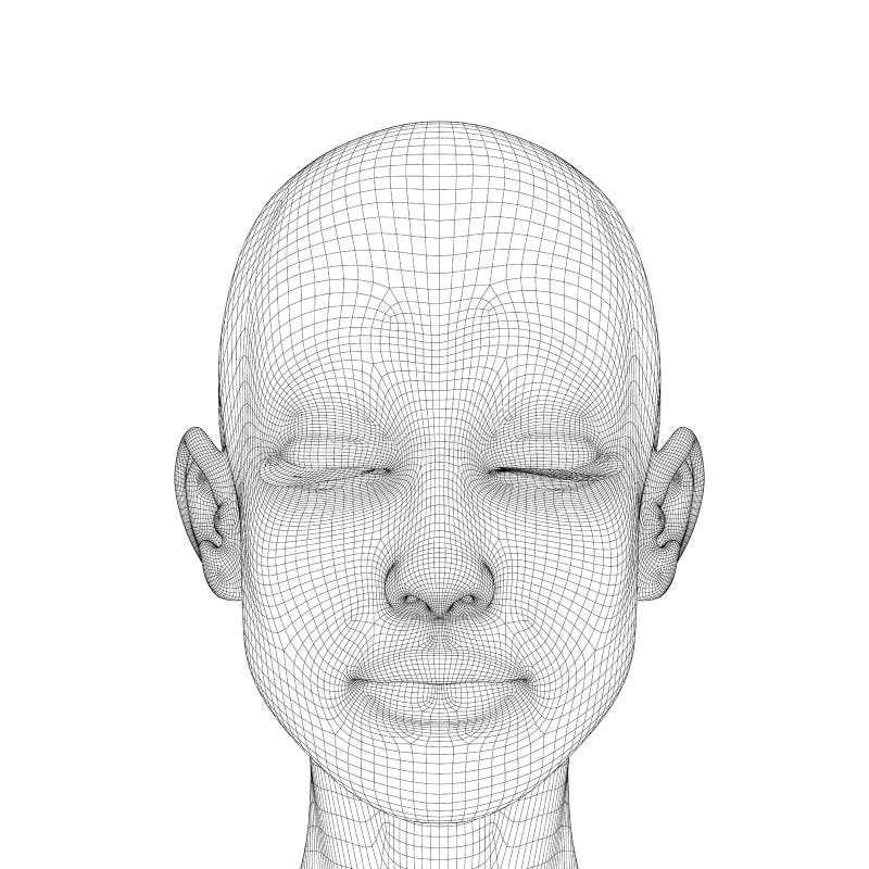 Wireframe of the head of a girl with a calm facial expression and closed eyes. Polygonal girl head isolated on white