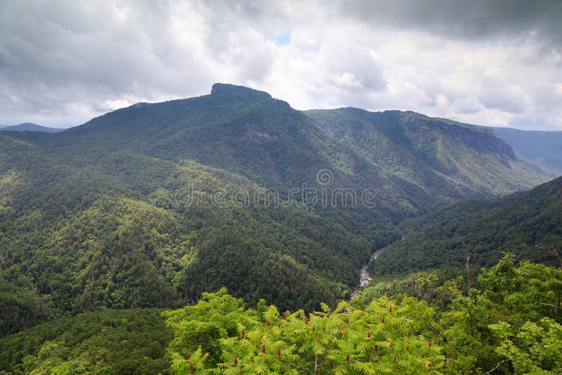 Wiseman`s View Linville Gorge North Carolina