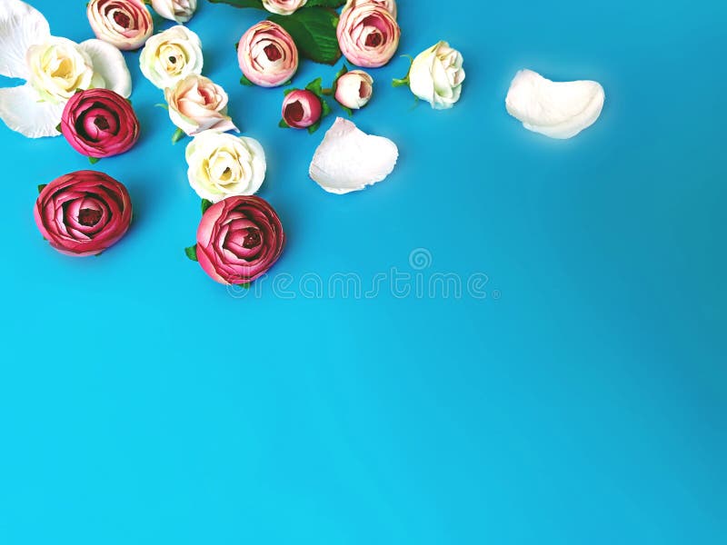 Pink white roses bouquet on blue floral background copy space happy romantic Valentine , women day and