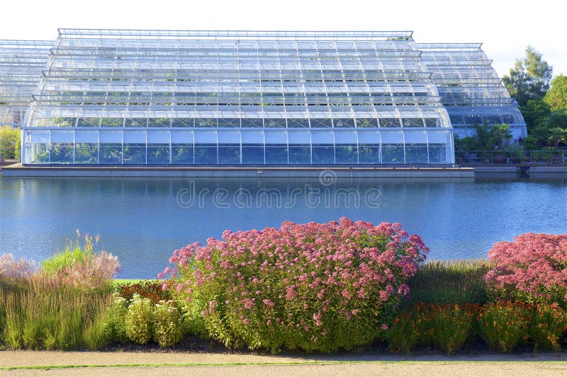 Wisley gardens, England stock image. Image of stadium 269446845