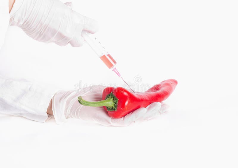 Wissenschaftler, der Einspritzung am Pfeffer anwendet lizenzfreie stockfotografie Wissenschaftler, der Einspritzung am Pfeffer anwendet lizenzfreie stockfotografie