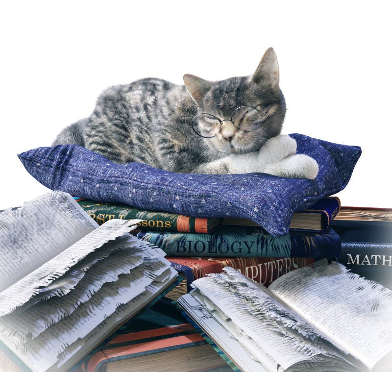 Wissenschaftlerkatze und verkratzte lustige Isolatzusammensetzung der Schulbücher stockfotos Wissenschaftlerkatze und verkratzte lustige Isolatzusammensetzung der Schulbücher stockfotos