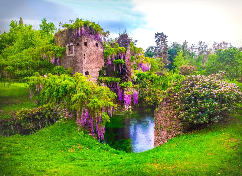 Wisteria flowers in fairy garden of ninfa in Italy - medieval tower ruin surrounded by river