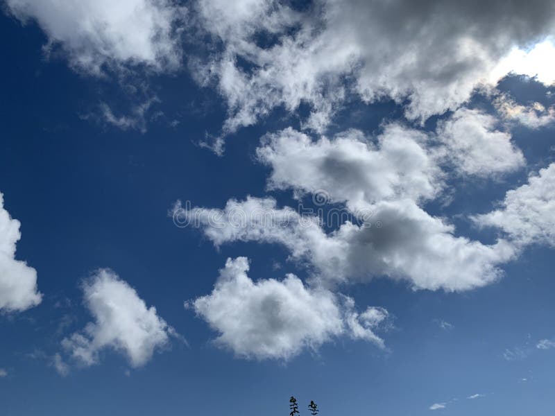 3,099 Fleecy Clouds Sky Photos - Free & Royalty-Free Stock Photos from ...