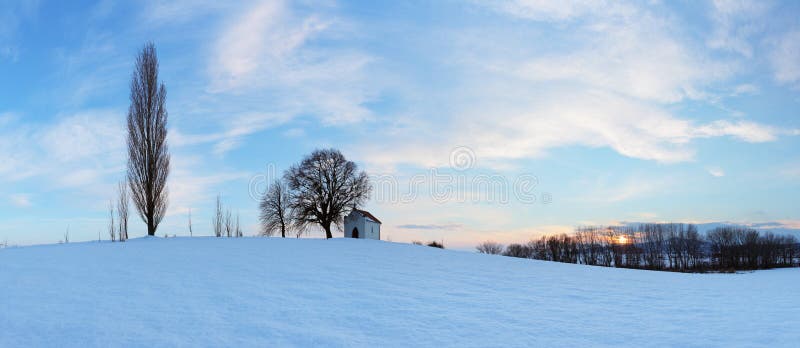 Panoráma Witnerovej lúky so stromom