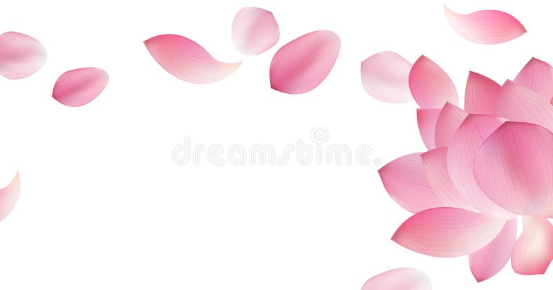 Witte achtergrond met roze bloemblaadje