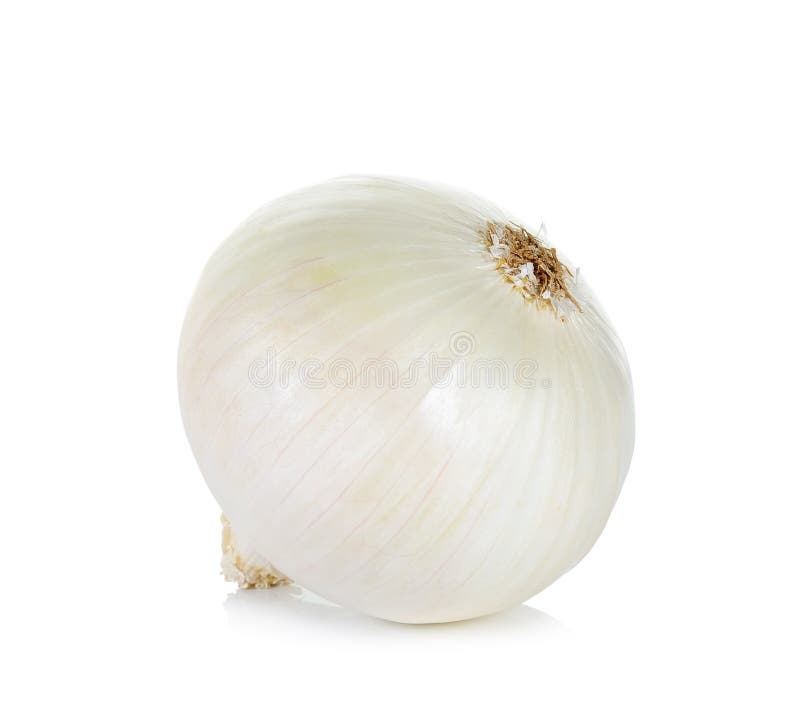 Witte die ui op de witte achtergrond wordt geïsoleerd royalty-vrije stock fotografie Witte die ui op de witte achtergrond wordt geïsoleerd royalty-vrije stock fotografie