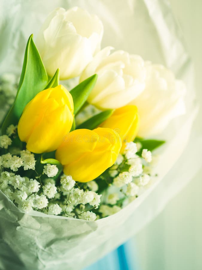 Witte en gele tulpen De kaart van de groet stock fotografie Witte en gele tulpen De kaart van de groet stock fotografie
