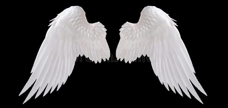 Witte engelenvleugel