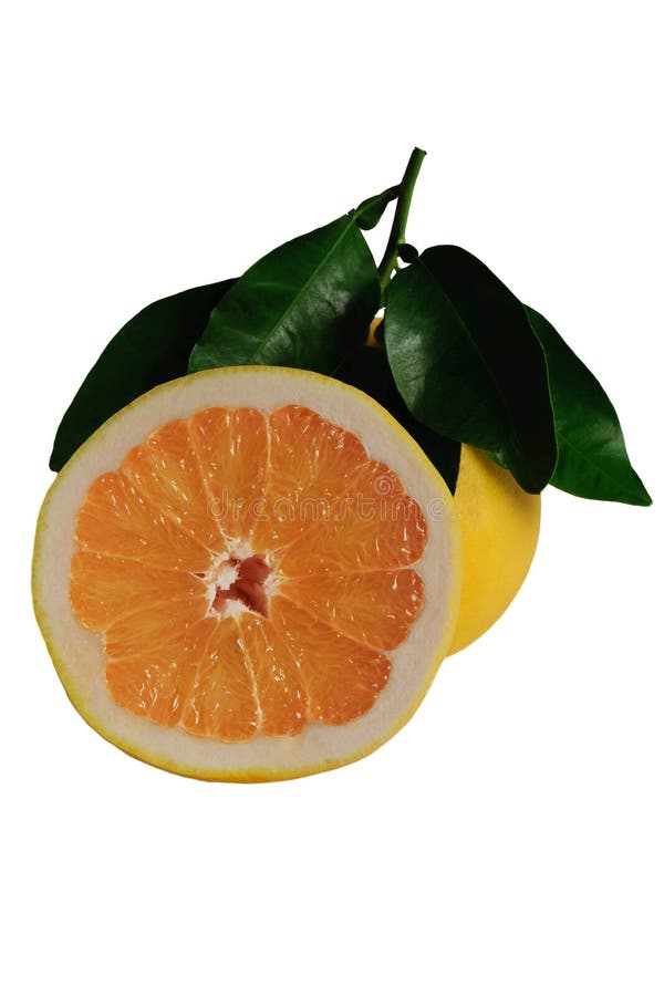 Witte grapefruit met halve die plak en bladeren op witte achtergrond worden geïsoleerd stock afbeelding Witte grapefruit met halve die plak en bladeren op witte achtergrond worden geïsoleerd stock afbeelding