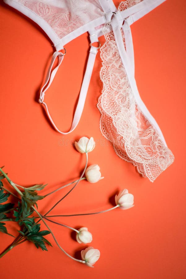 Witte kantdamesslipjes op een koraalachtergrond Vrouwelijk ondergoed voor de bruid met gevoelige bloemen op een oranje achtergron stock foto's Witte kantdamesslipjes op een koraalachtergrond Vrouwelijk ondergoed voor de bruid met gevoelige bloemen op een oranje achtergron stock foto's