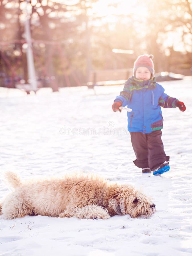 Witte Kaukasische jongen die en met witte hond in openlucht in de winterdag lopen spelen stock foto Witte Kaukasische jongen die en met witte hond in openlucht in de winterdag lopen spelen stock foto