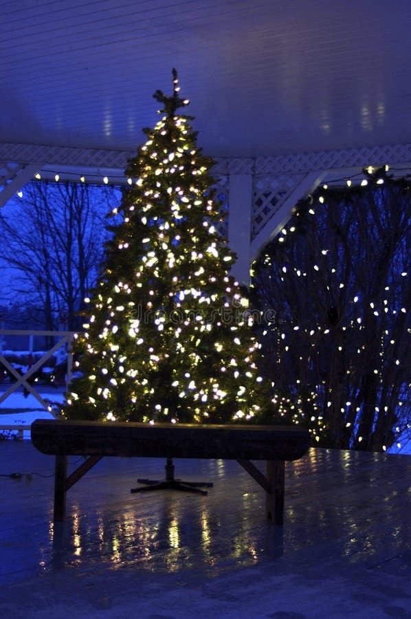 Witte Kerstboom buiten royalty-vrije stock foto Witte Kerstboom buiten royalty-vrije stock foto