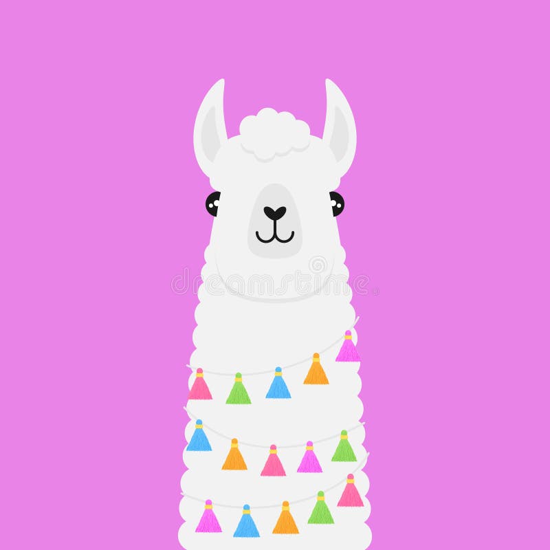 Llama, white fluffy alpaca vector graphic illustration, isolated on violet background. Llama head with colorful tassels on string around neck. Llama, white fluffy alpaca vector graphic illustration, isolated on violet background. Llama head with colorful tassels on string around neck.
