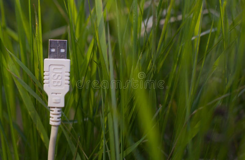 Witte USB-kabel op gras - groene technologie stock foto Witte USB-kabel op gras - groene technologie stock foto