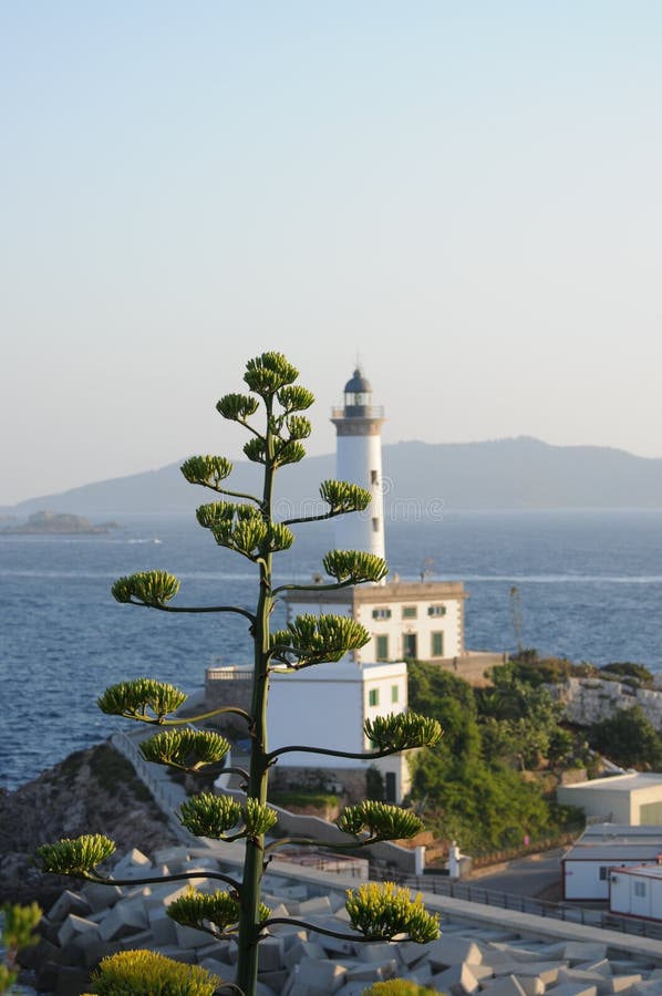 Witte Vuurtoren S Botafoc in Ibiza de Balearen Soain royalty-vrije stock foto Witte Vuurtoren S Botafoc in Ibiza de Balearen Soain royalty-vrije stock foto