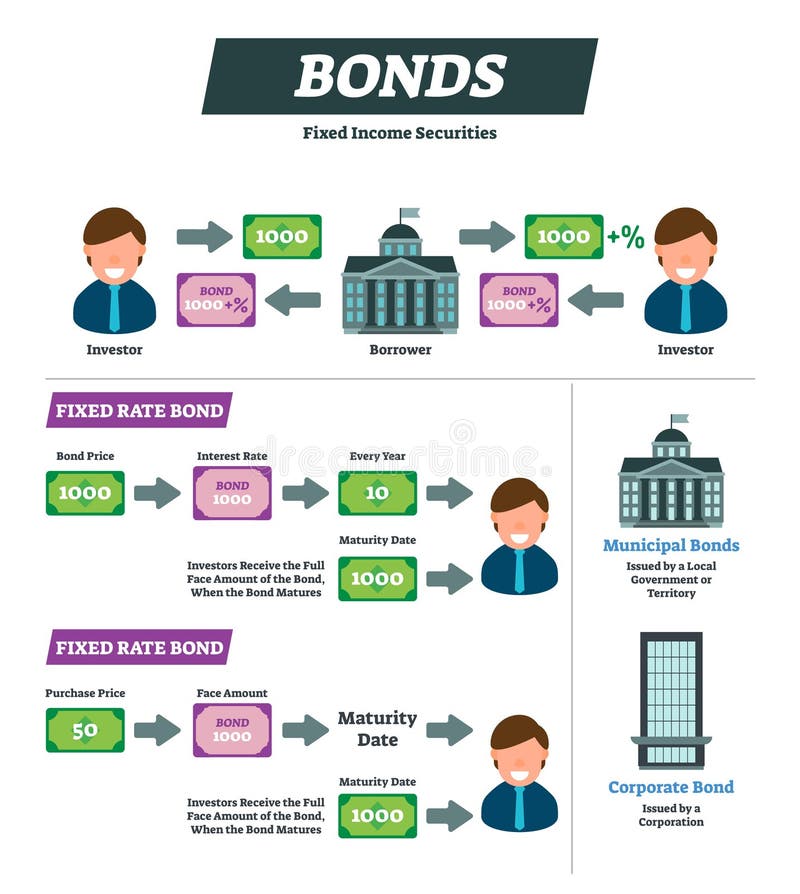 Bonds vector illustration. Investor and borrower financial instrument explanation scheme. Labeled fixed rate example diagram. Infographic with municipal government and corporate income securities. Bonds vector illustration. Investor and borrower financial instrument explanation scheme. Labeled fixed rate example diagram. Infographic with municipal government and corporate income securities.