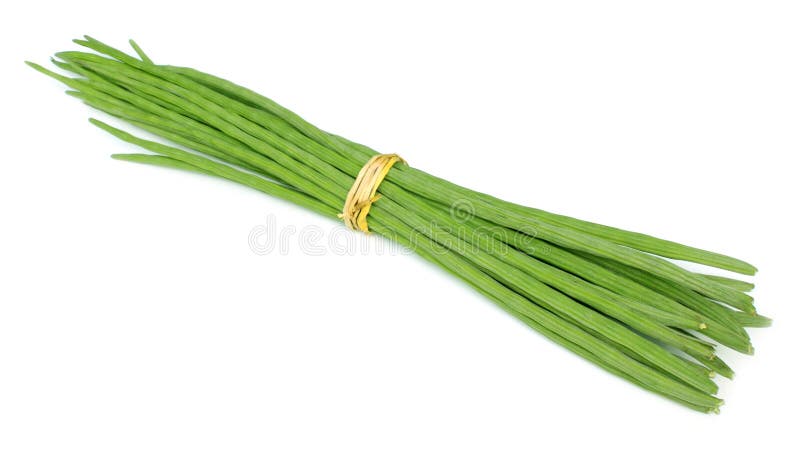 Wiązka Moringa fotografia royalty free