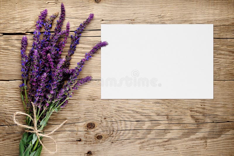 Wiązka szałwie i pusty kartka z pozdrowieniami fotografia royalty free