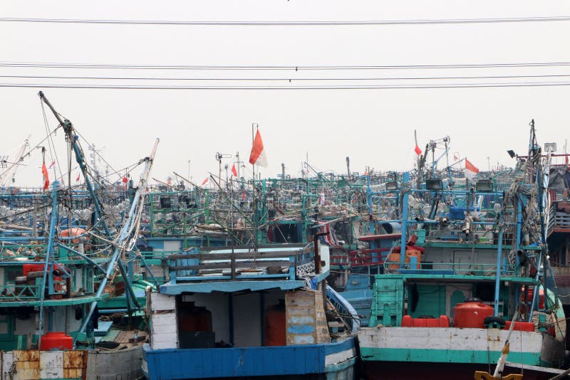 Many fishing boats moored in the port harbor, More than hundred Indonesia fishing boat docked at the pier. Many fishing boats moored in the port harbor, More than hundred Indonesia fishing boat docked at the pier