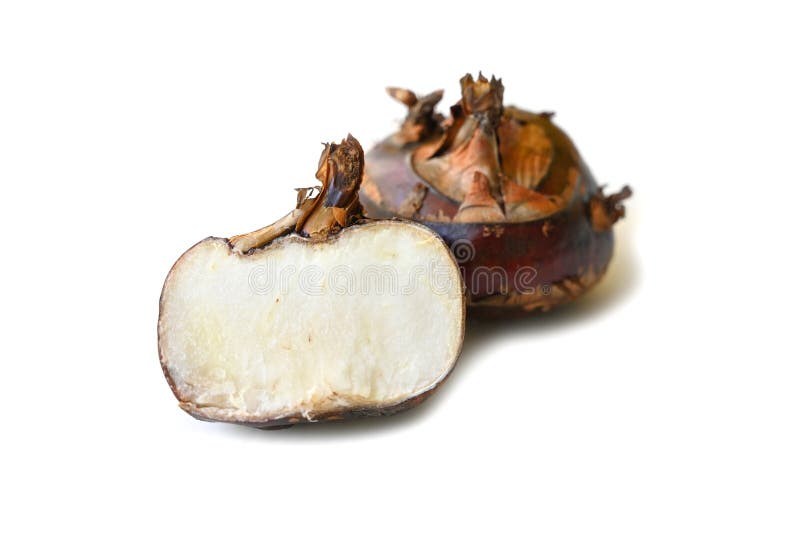 448 Chinese Water Chestnut Stock Photos Free & RoyaltyFree Stock