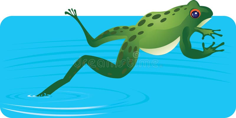 Frog Jumping out of water. Frog Jumping out of water