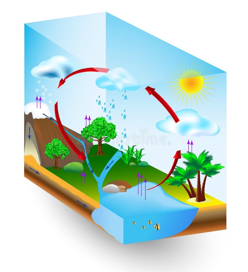 Wodny cykl. natura. Wektorowy diagram royalty ilustracja Wodny cykl. natura. Wektorowy diagram royalty ilustracja
