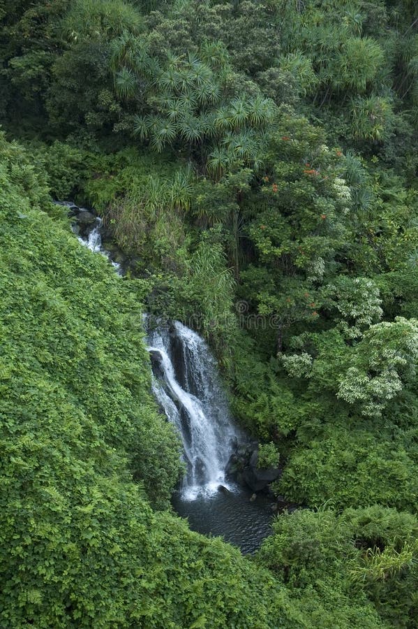 Hawaiian waterfall, Big Island, Hawaii. Hawaiian waterfall, Big Island, Hawaii
