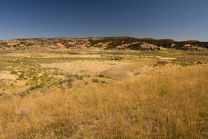 Semi desert in Wyoming, USA. Semi desert in Wyoming, USA