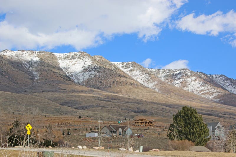 Utah Wolf Creek Pass stock photo. Image of flowers, wild 31714338
