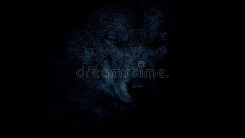 wolf eyes in the dark hd