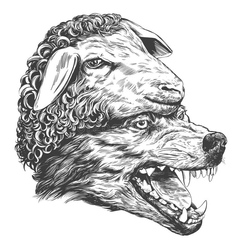 Wolf in der Kleidung der Schafe s, christliche Parabel, Hand gezeichnete realistische Skizze der Vektorillustration