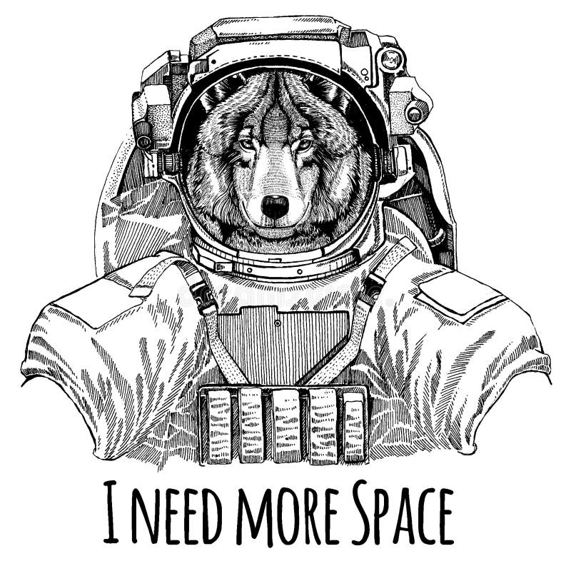 nicoleelizabethlaabsspacedogcolorspacedogastronautmemorialpetpet portrait