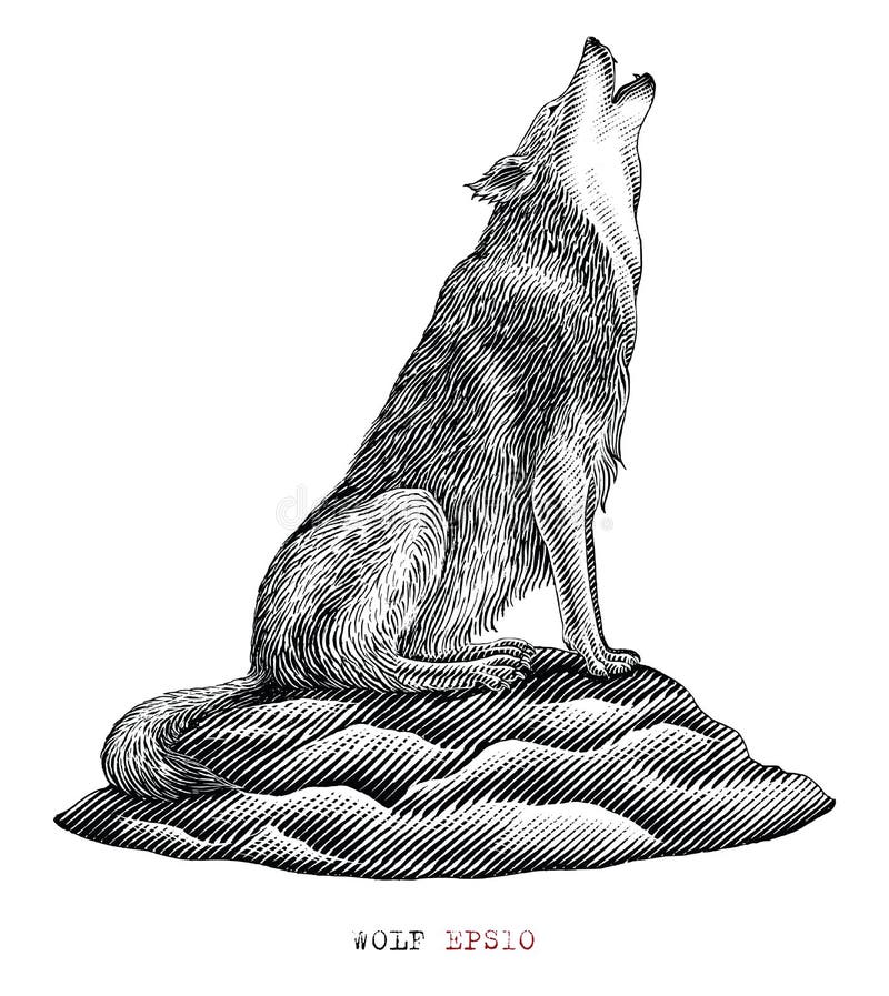 Wolf Howling Sketch by LBozzie on DeviantArt