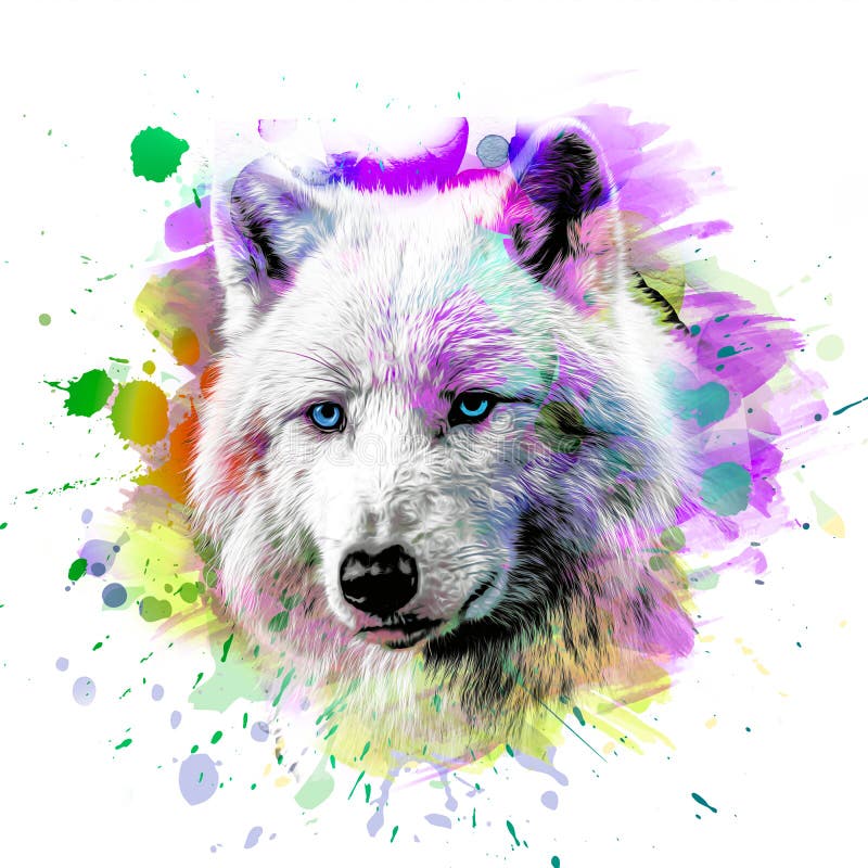 Wolf Head with Creative Abstract Element on Colorful Background Ccolor
