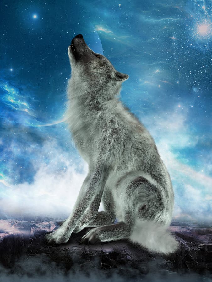 Wolf Howling Moon Illustration bianco