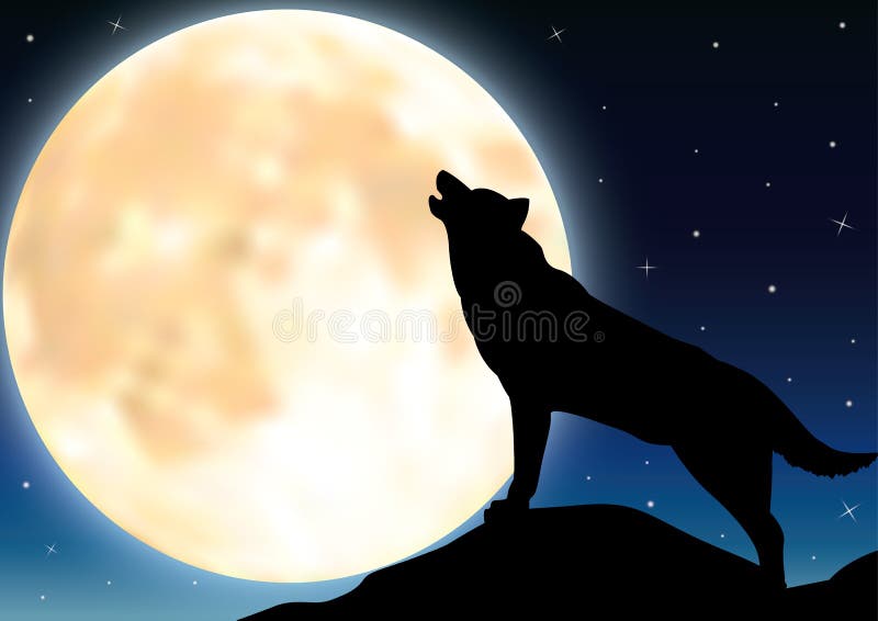 stock abbildung wolf im schattenbild heulend zum vollmond image